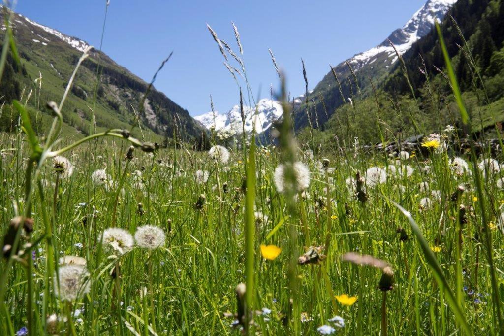 Garni Roesslhof Hotel Hollersbach im Pinzgau Luaran gambar