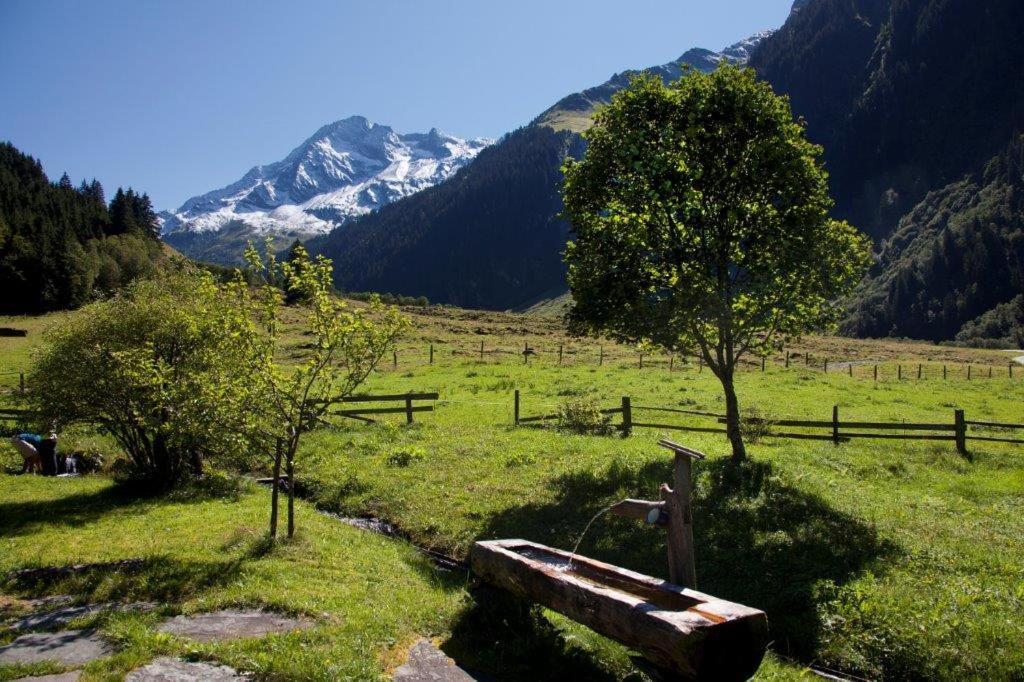 Garni Roesslhof Hotel Hollersbach im Pinzgau Luaran gambar