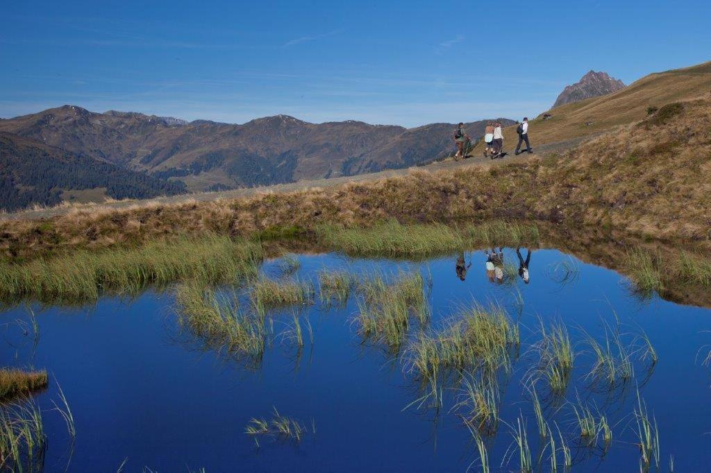 Garni Roesslhof Hotel Hollersbach im Pinzgau Luaran gambar